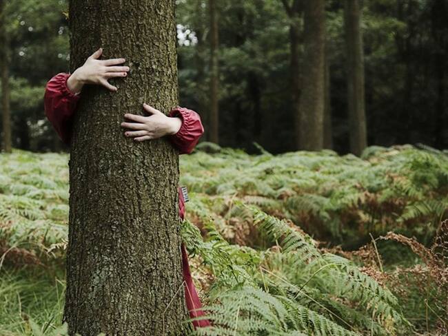 Proyecto colombiano pensado en temas ambientales, finalista en Social Innomarathon