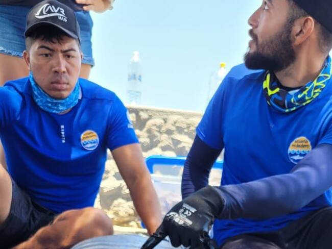 Foto: Rescate de Manatí/ Corpamag