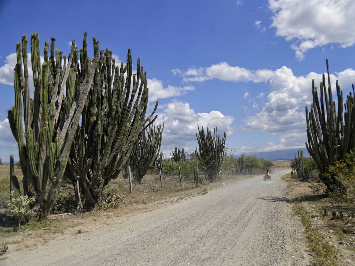 Villavieja, municipio del Huila que es la puerta del desierto de la Tatacoa, comenzará a cobrar un impuesto al turismo