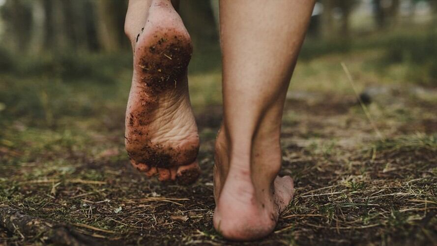 Denuncian desplazamiento forzado en el Meta / imagen de referencia. Foto: Getty Images