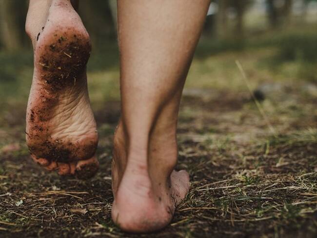 Denuncian desplazamiento forzado en el Meta / imagen de referencia. Foto: Getty Images