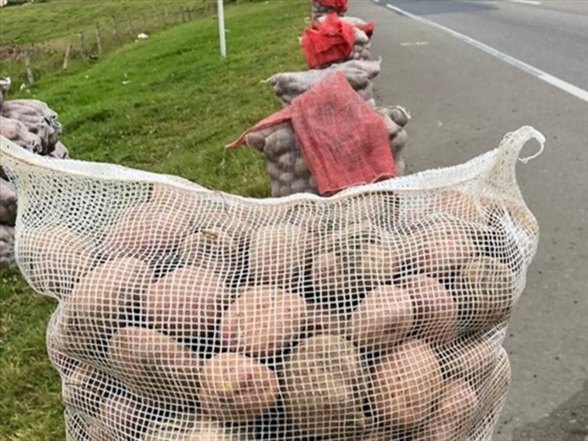Bolsa Mercantil prestará sus servicios al programa de apoyo a productores de papa