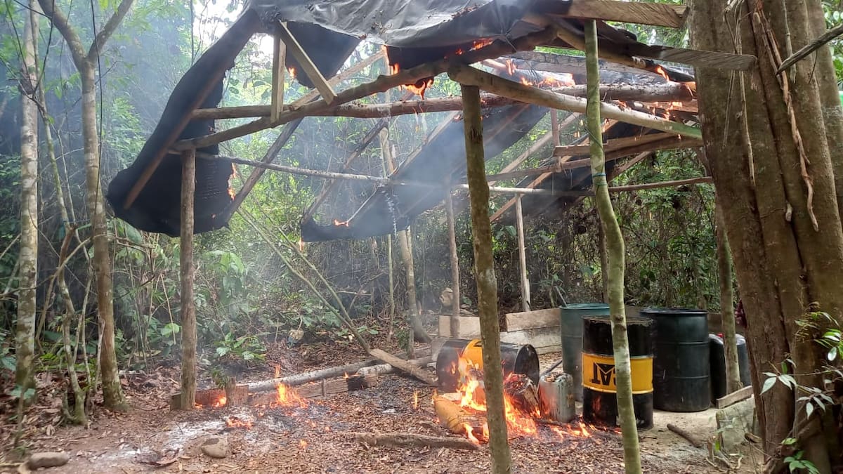 Destruyen dos laboratorios de coca en San José de Uré y Montelíbano, sur de Córdoba
