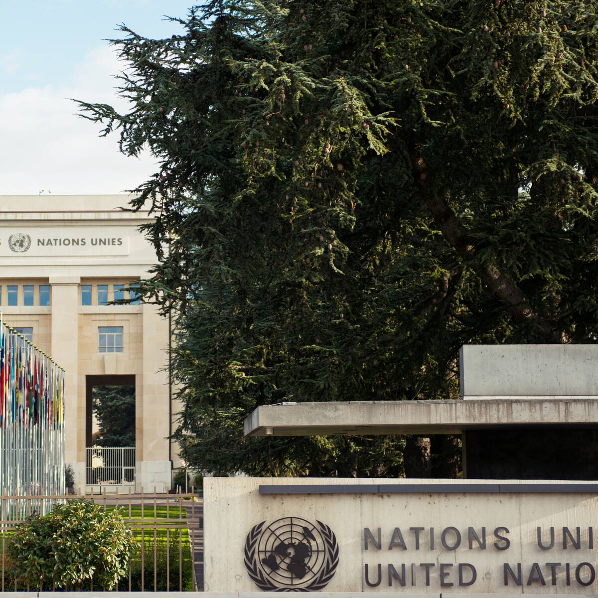 Organizaciones lamentaron que no puedan intervenir ante el Consejo de Seguridad de la ONU