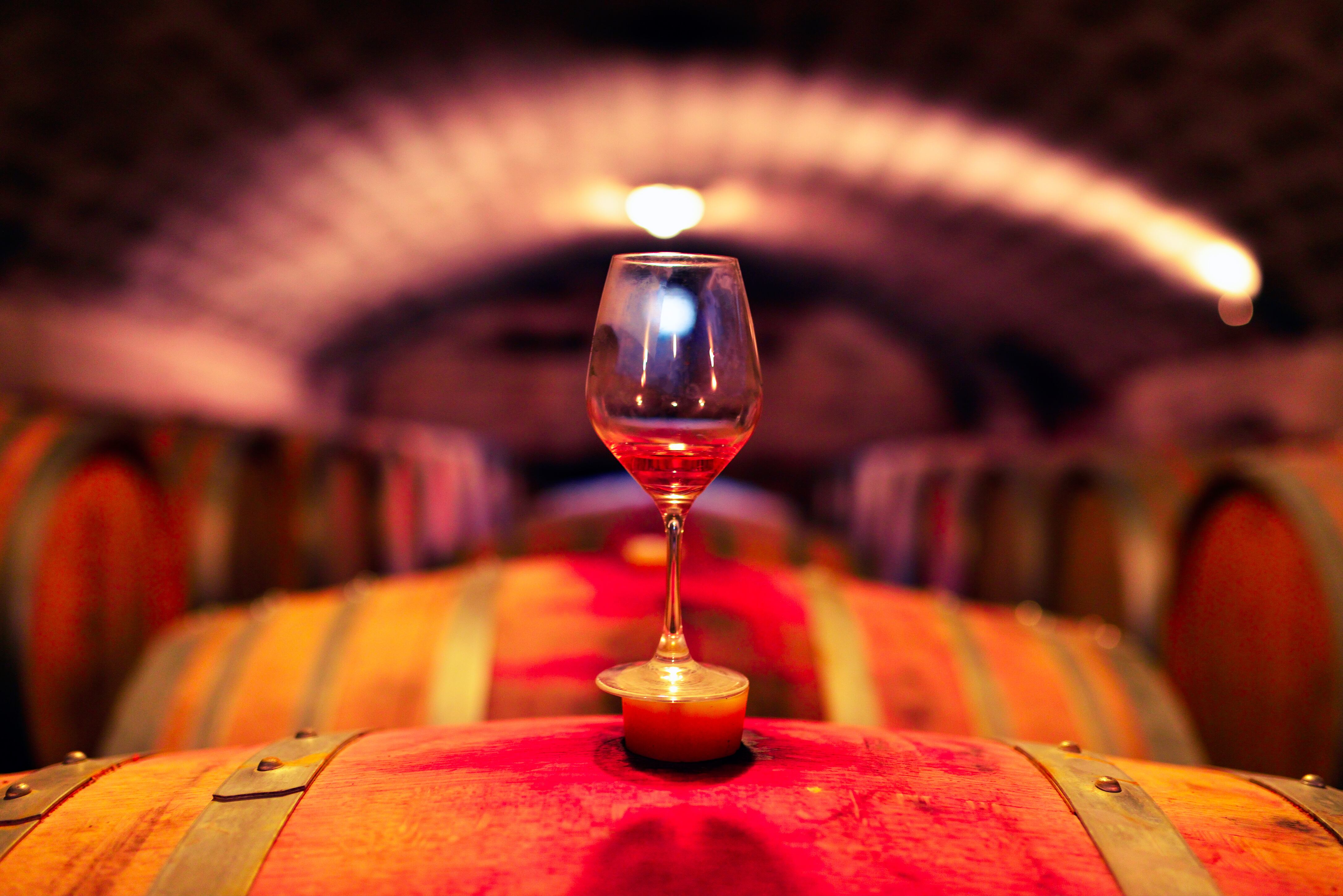 María Jimena Cárdenas presentó su nuevo libro: ‘Viñedos de Colombia: los vinos del Trópico’