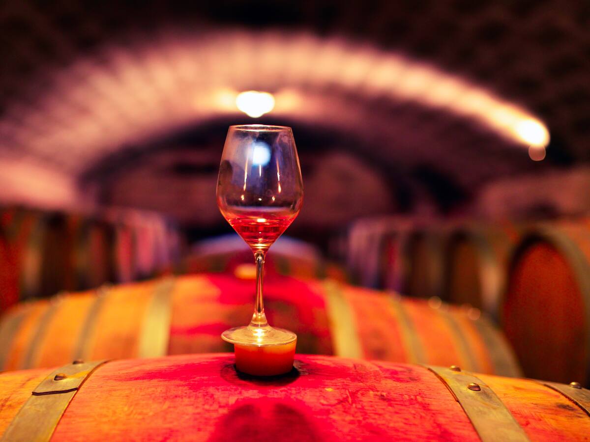 María Jimena Cárdenas presentó su nuevo libro: ‘Viñedos de Colombia: los vinos del Trópico’