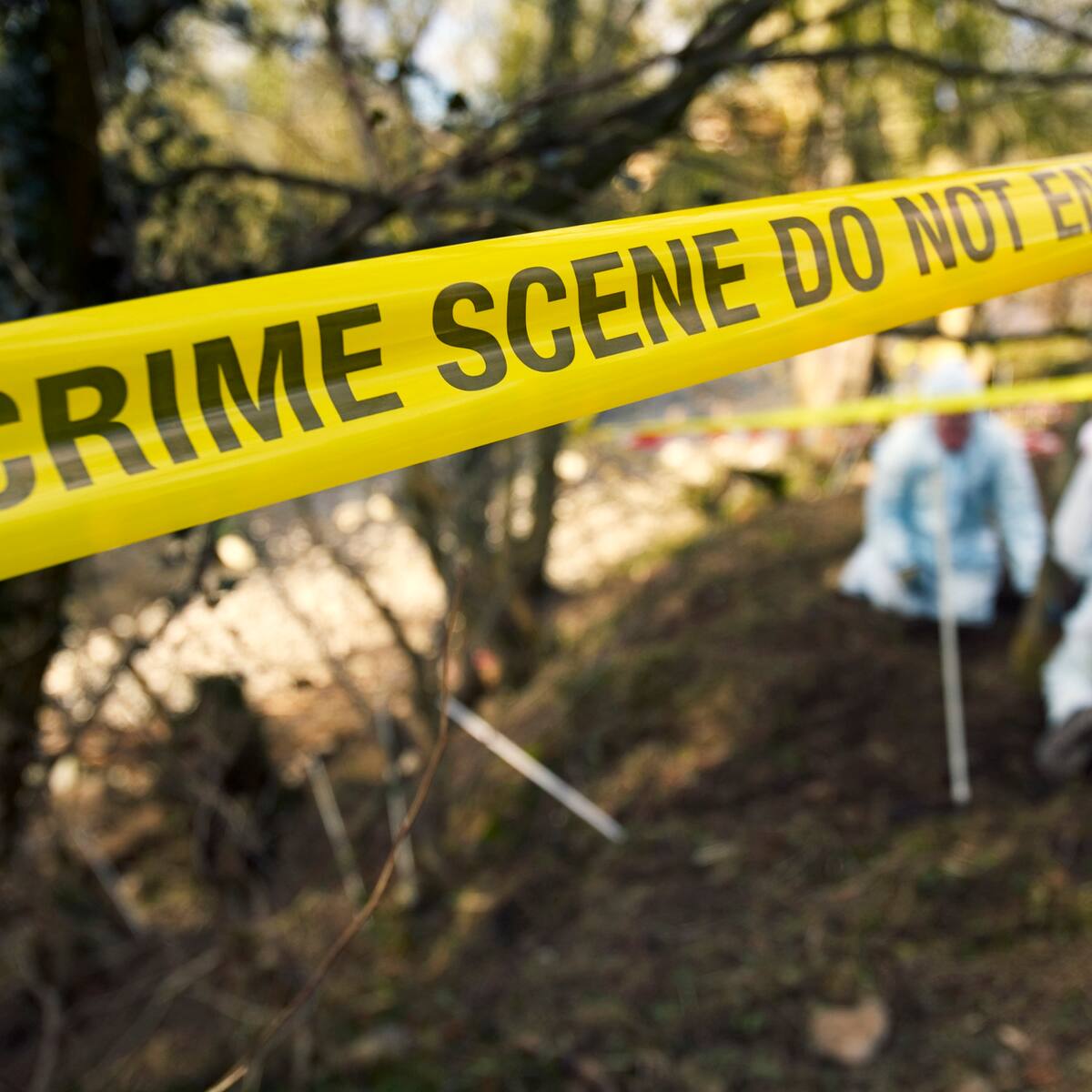 Cuerpos hallados en bolsas en Bogotá: ¿qué está pasando?