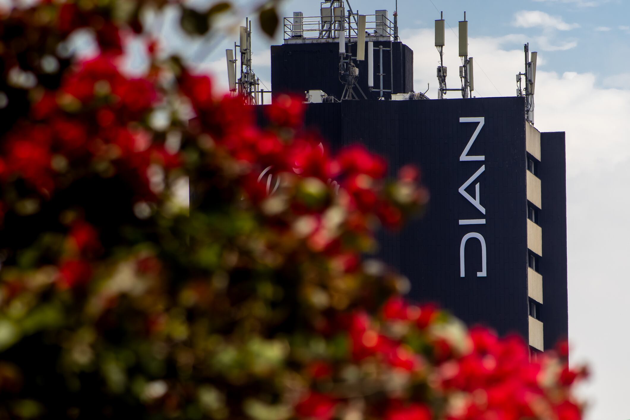 Dian. Foto: Getty Images.