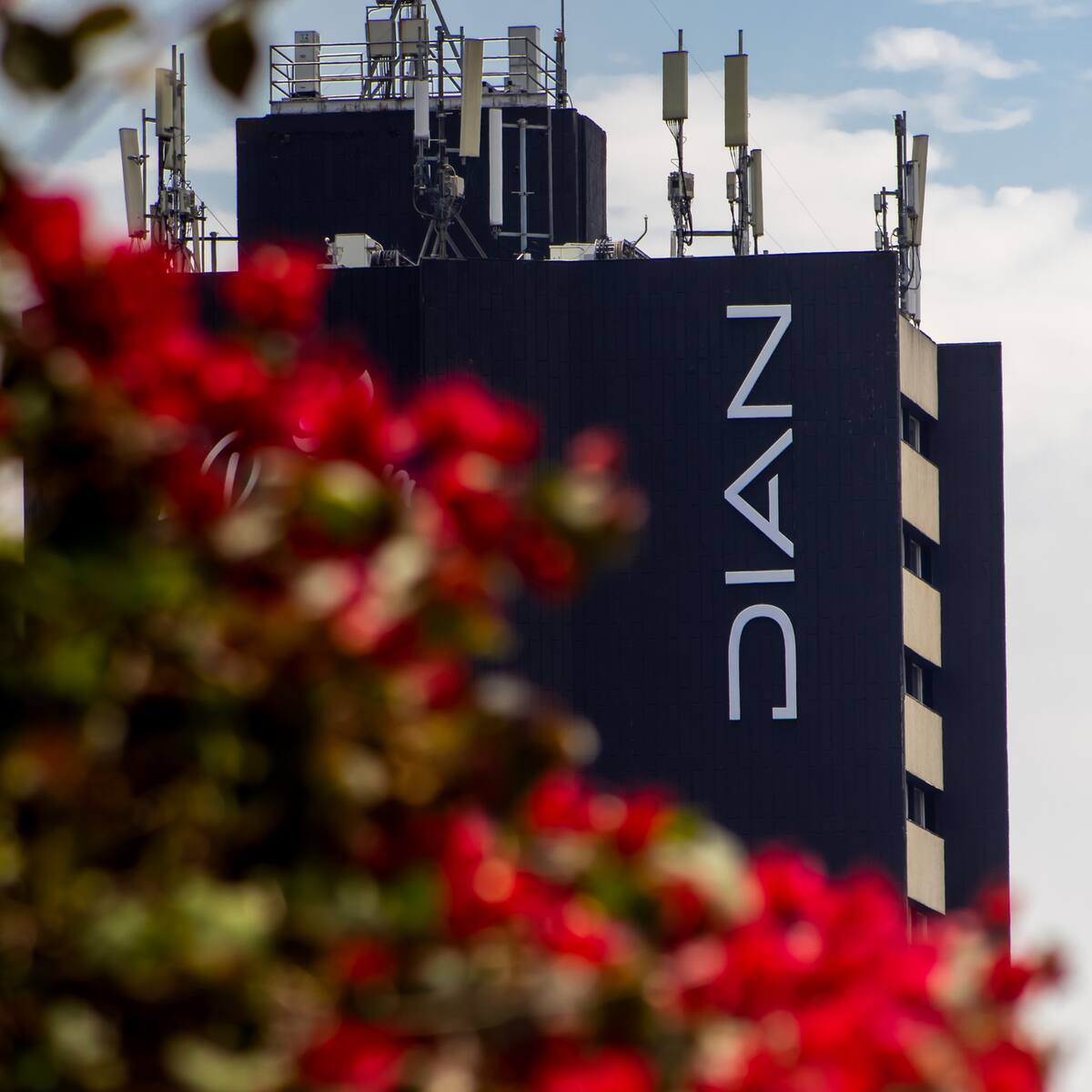 Dian defiende cobro de IVA a gasolina importada de Ecopetrol; también lo cobrará al diésel importado