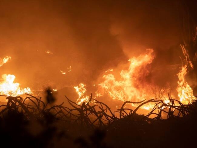 Bomberos de Grecia siguen trabajando para apagar los incendios forestales