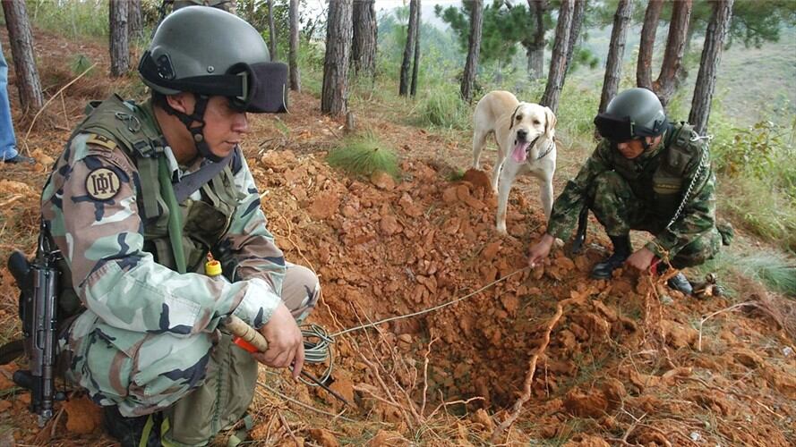 Campo minado en Antioquia . Foto: Colprensa