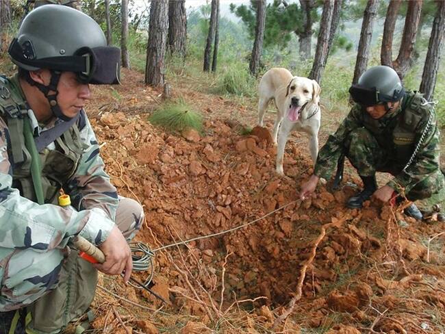 Campo minado en Antioquia . Foto: Colprensa