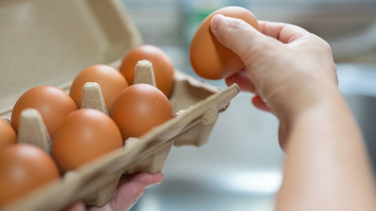 ¿Los huevos se guardan dentro o fuera de la nevera? Epidemiólogo responde