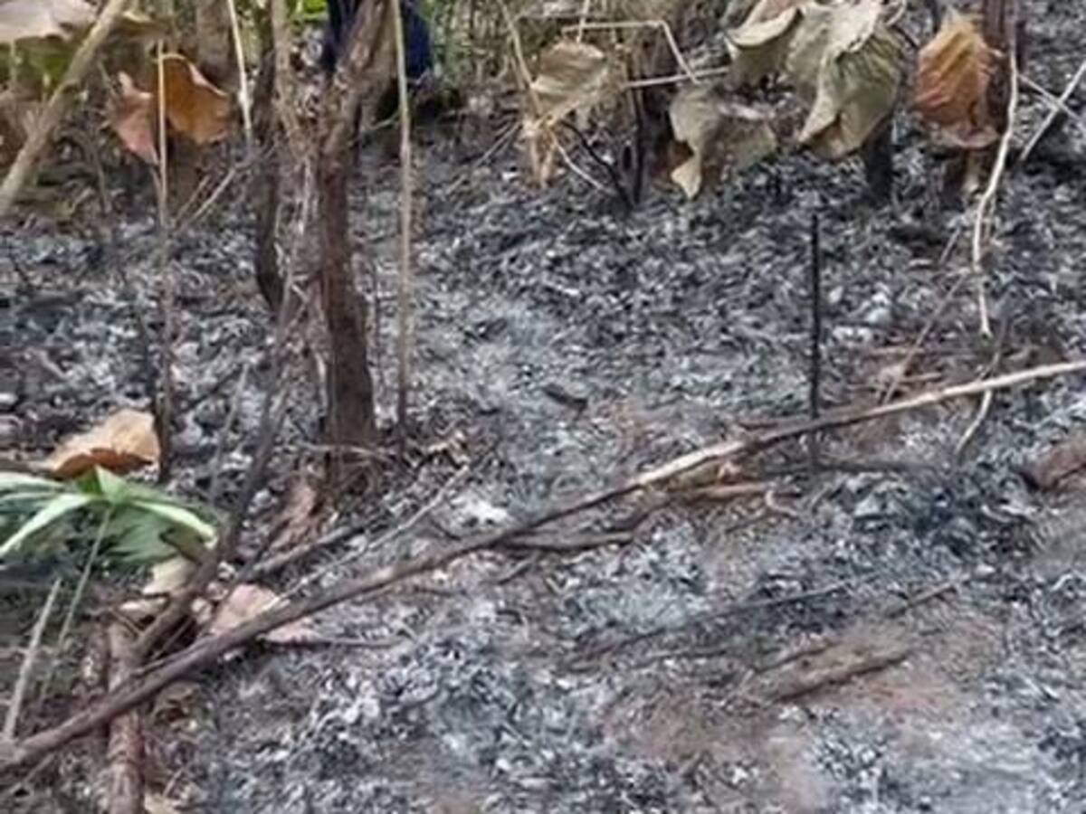 Estos son los 6 municipios de Córdoba en alerta por amenaza de incendios forestales