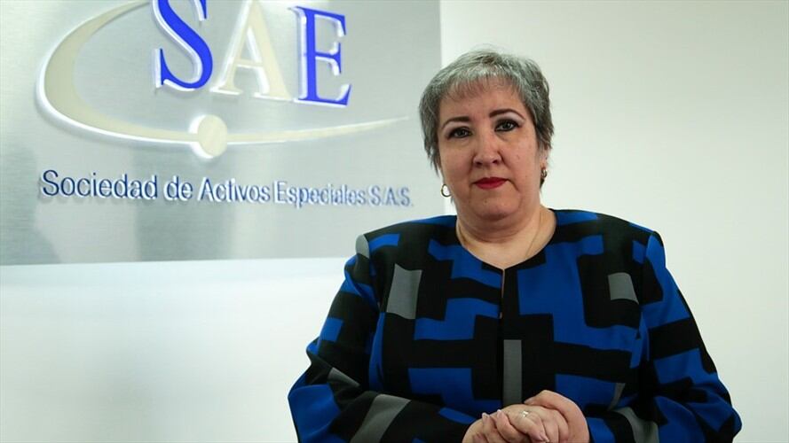 La abogada Maria Virginia Torres dirigió la SAE desde septiembre de 2014.. Foto: Colprensa