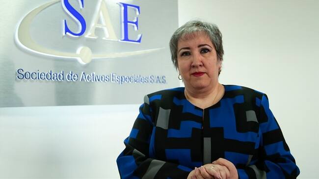 La abogada Maria Virginia Torres dirigió la SAE desde septiembre de 2014.. Foto: Colprensa