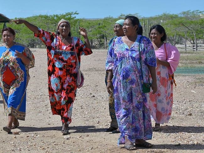 Yo no acepto las excusas de Fabio Zuleta: María del Tránsito Iguarán, indígena wayúu