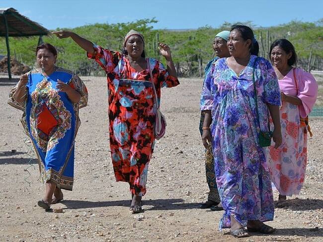Yo no acepto las excusas de Fabio Zuleta: María del Tránsito Iguarán, indígena wayúu