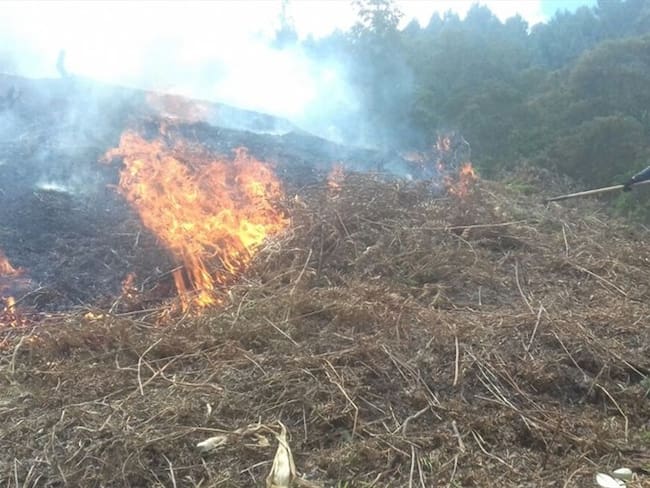 Cuerpo de Bomberos controla incendio en el municipio de Sotaquirá en Boyacá. Foto: Cuerpo de Bomberos de Paipa