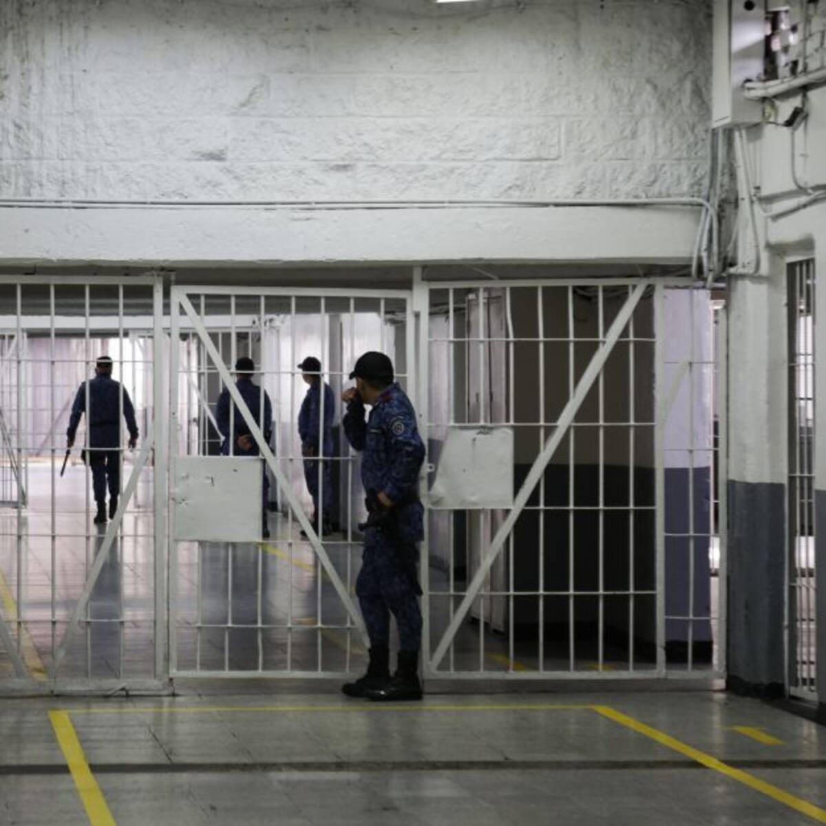 MinJusticia deberá expedir protocolo para visitas íntimas de PPL sin importar género