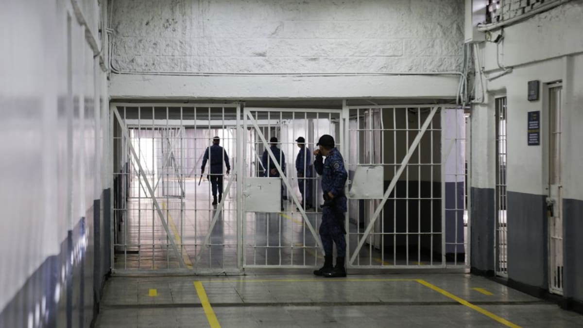 Alias ‘Yayita’ o ‘La Tía’ a punto de regresar a Colombia