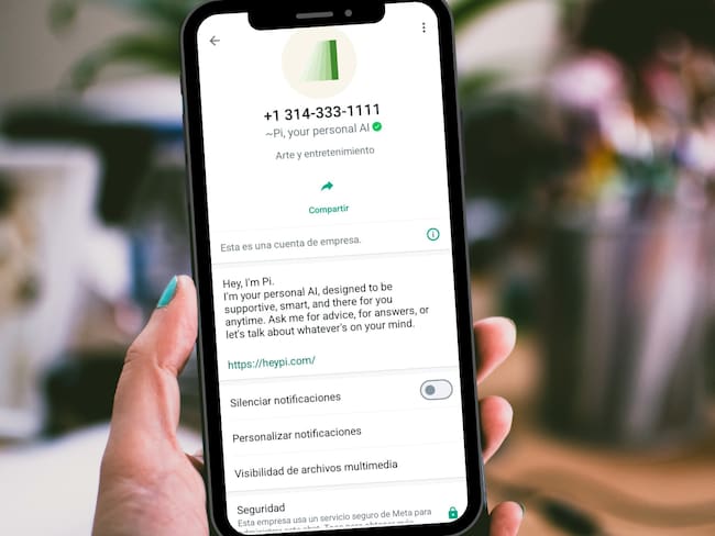 Pi, asistente virtual de WhatsApp
