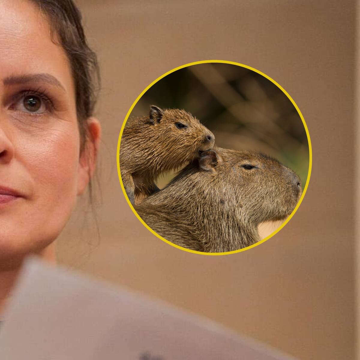 “La caza comercial reviste muchos riesgos”: senadora Andrea Padilla sobre la caza de chigüiros.