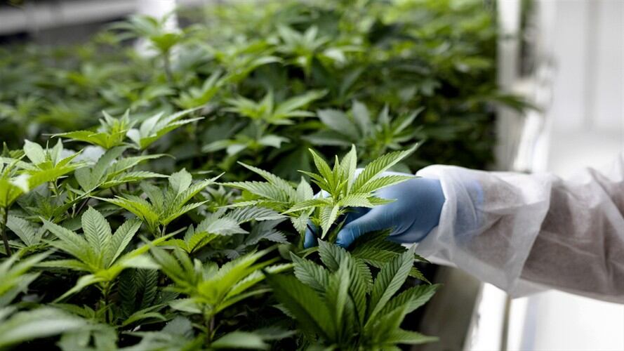 Imagen de referencia. Foto: Getty Images