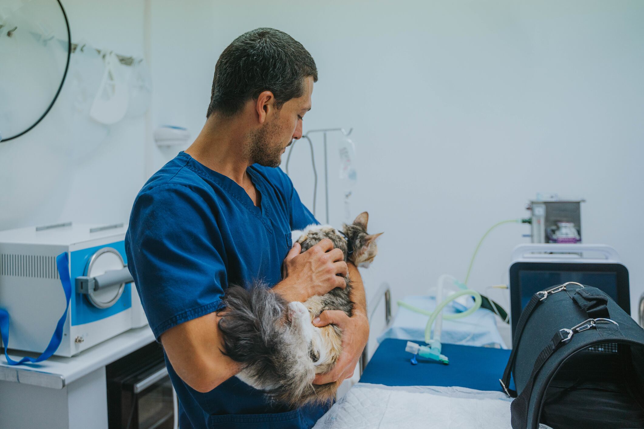 Veterinario. Foto: Getty Images