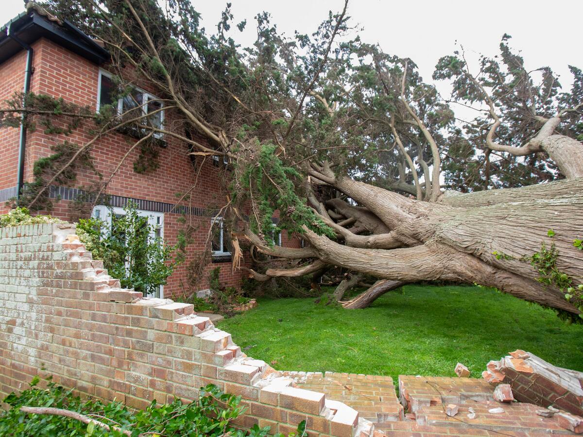 Gales e Inglaterra afrontan “peligro para la vida” por tormenta Darragh, dicen autoridades