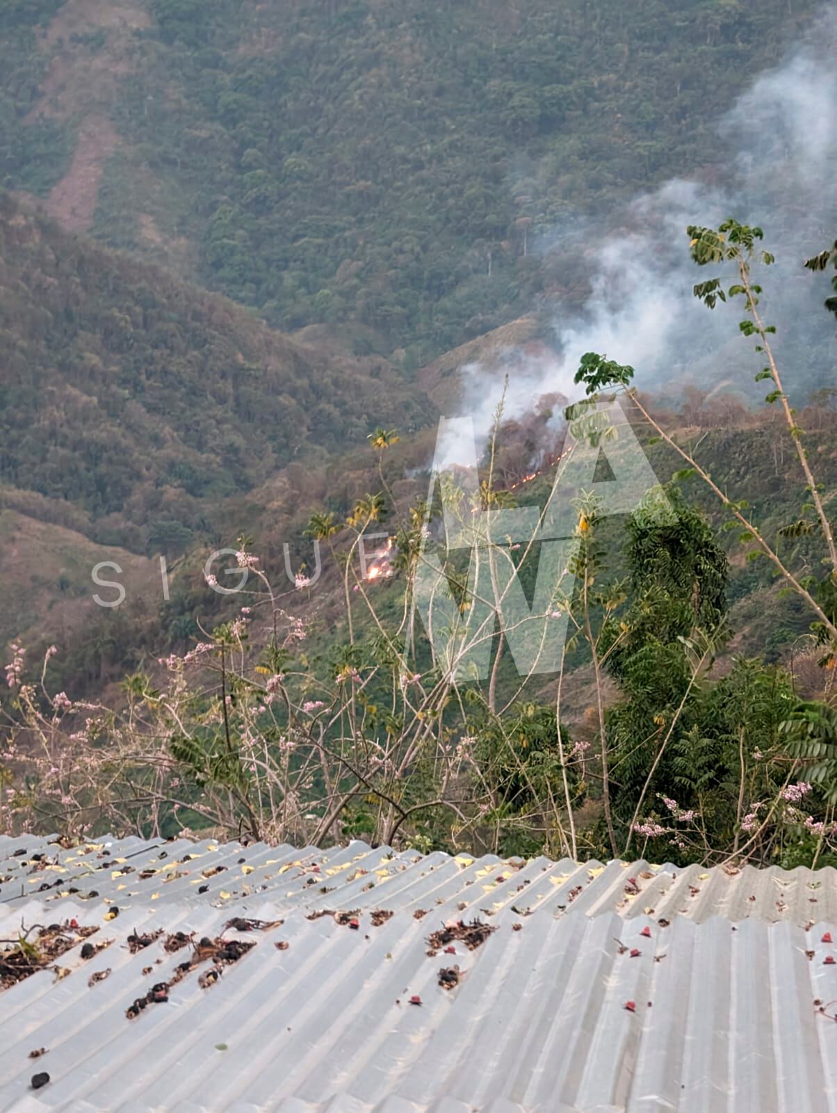 Videos: incendios en la Sierra Nevada de Santa Marta. Foto: Suministrada.