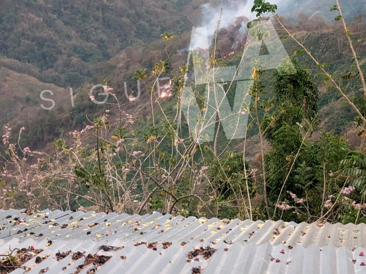 Videos: incendios en la Sierra Nevada de Santa Marta