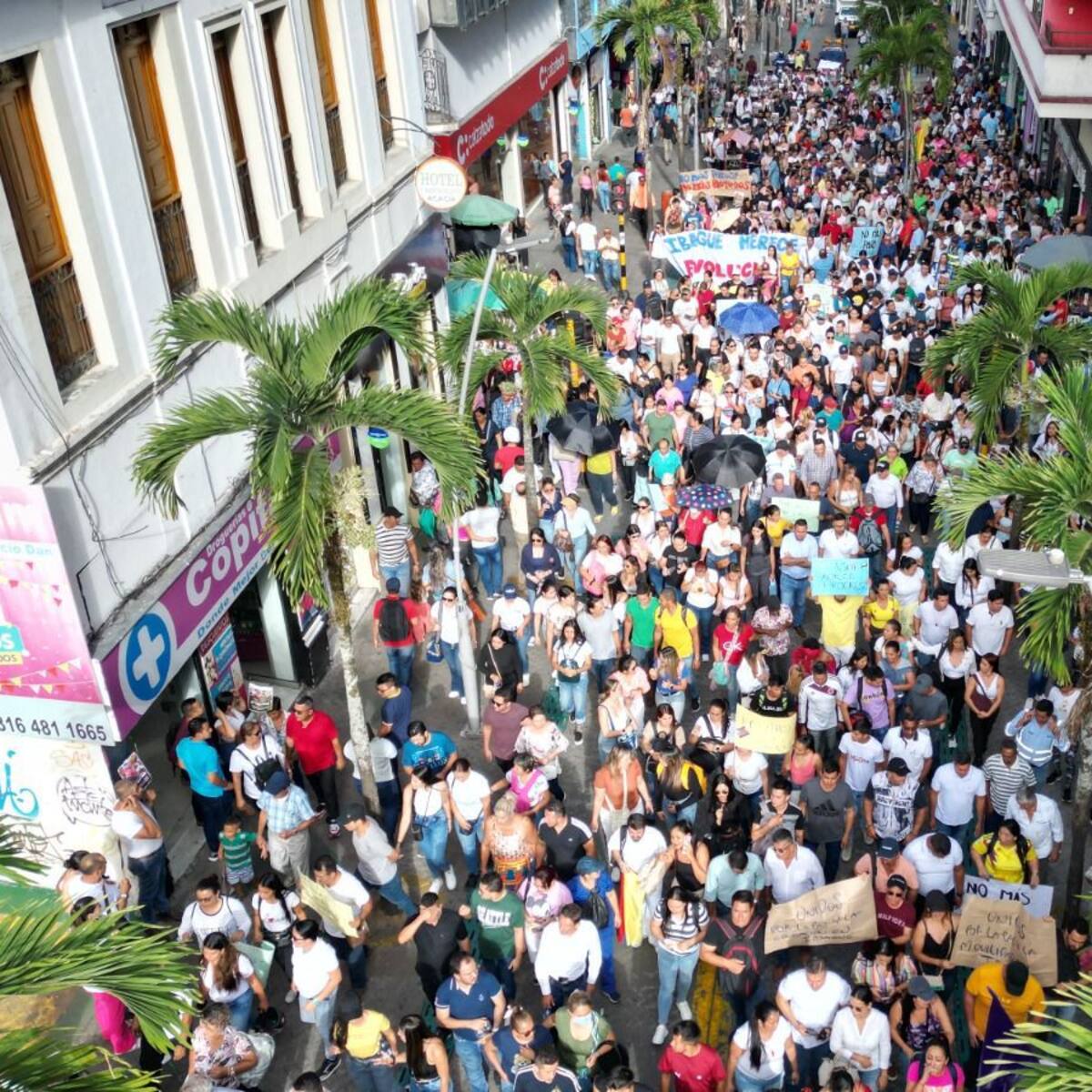 Paro de buses en Ibagué: ¿qué soluciones ofrece la Alcaldía a los ciudadanos?