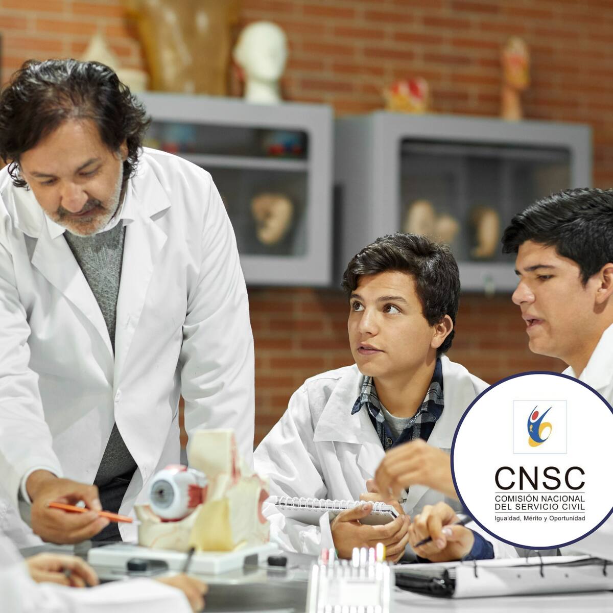 Concurso Docente: ¿cuál es el puntaje mínimo para pasar la prueba específica? Así funciona