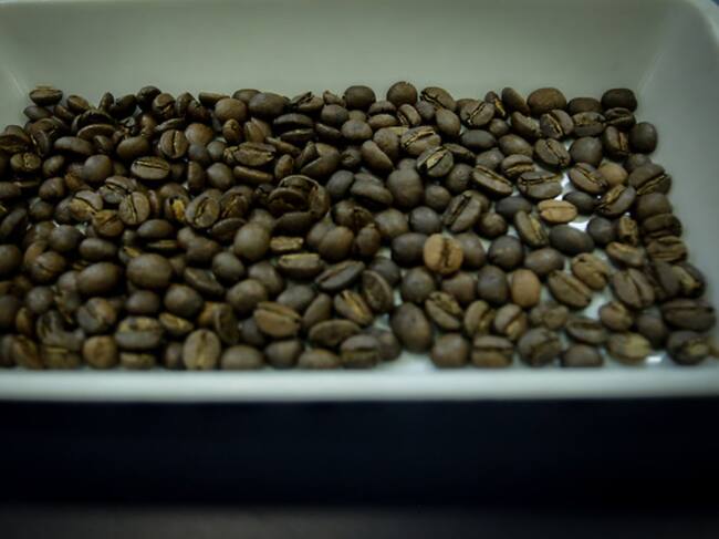 La producción y exportaciones de café cayeron en 2021: Federación Nacional de Cafeteros. Foto/Colprensa.