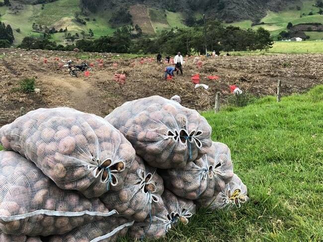 Los productores confirmaron su intensión de movilizarse en medio del Consejo Nacional Papero que se adelantó el nueve de noviembre en Bogotá.. Foto: W