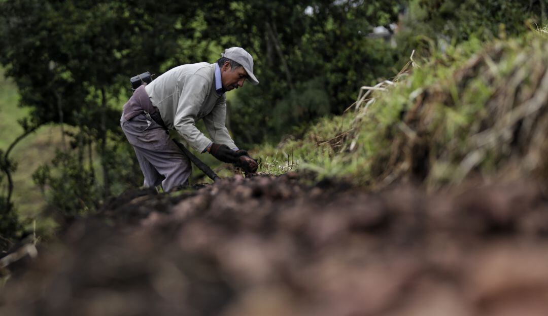 Imagen de referencia. Foto: GettyImages