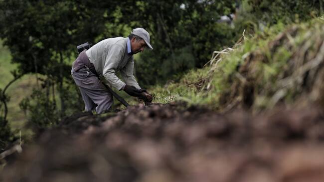 Imagen de referencia. Foto: GettyImages