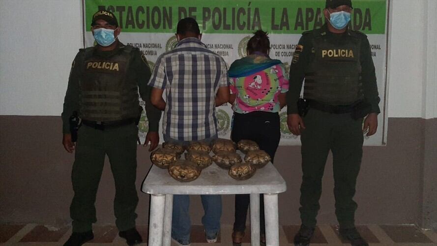 Por traficar 10 hicoteas, Policía captura a una mujer y un hombre en Córdoba.Foto:prensa Policía Córdoba.