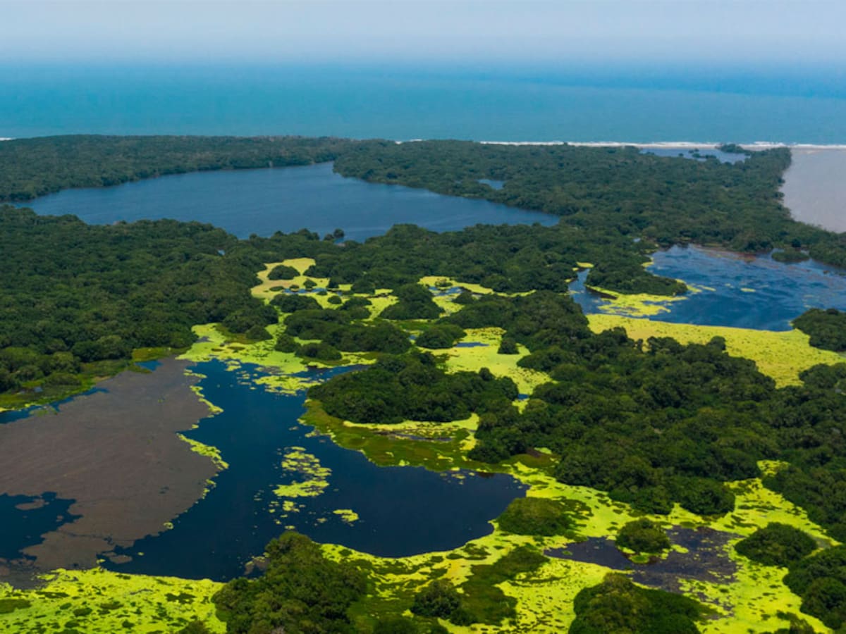 Vía Parque Isla de Salamanca denuncia robo por $700 millones de pesos