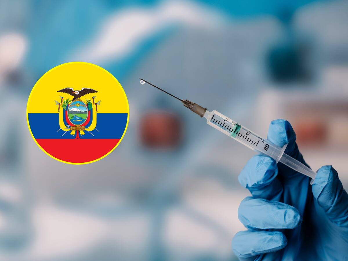 Ecuador comenzó a exigir vacuna contra fiebre amarilla a pasajeros de 4 países