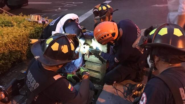Cinco bomberos y dos paramédicos se desplazaron al sitio para realizar una operación especial. Foto: Bomberos