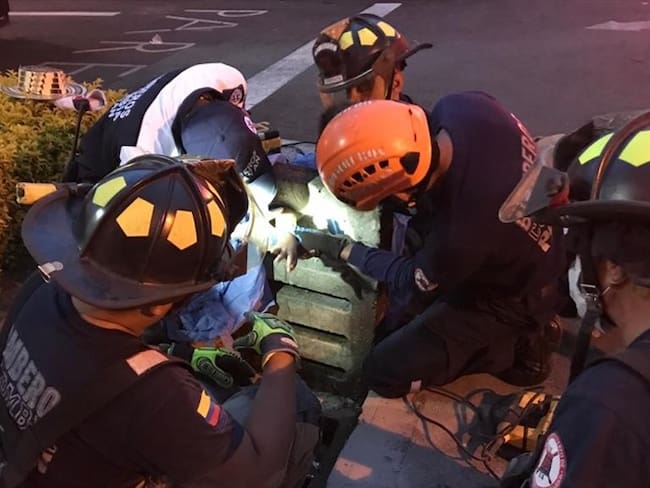 Cinco bomberos y dos paramédicos se desplazaron al sitio para realizar una operación especial. Foto: Bomberos