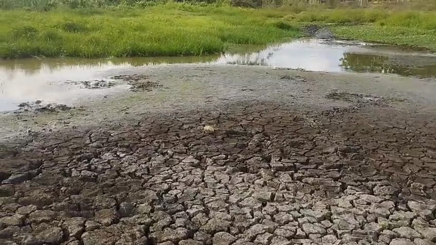 Comunidades alertan por intensa sequía en zona rural de Montería: exigen soluciones. Foto: suministrada.
