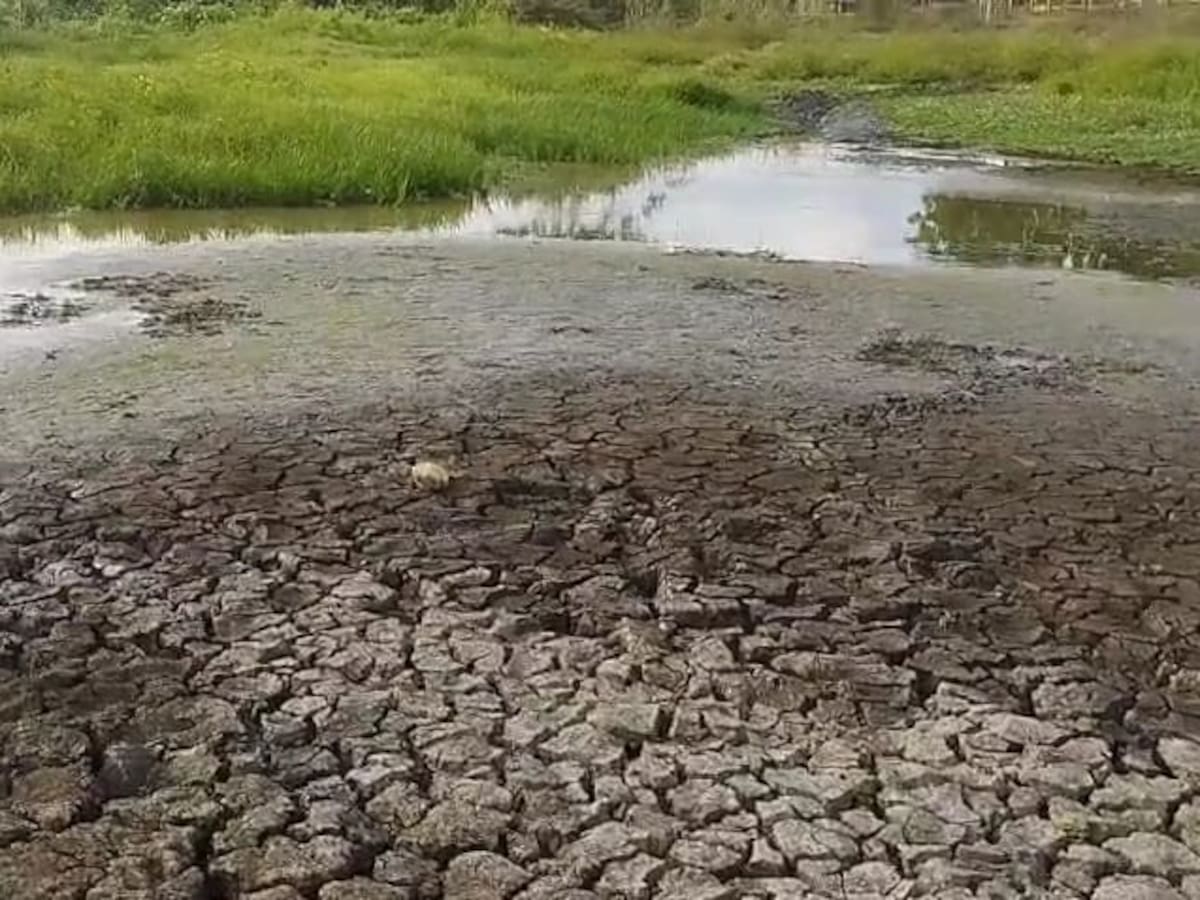 Comunidades alertan por intensa sequía en zona rural de Montería: exigen soluciones