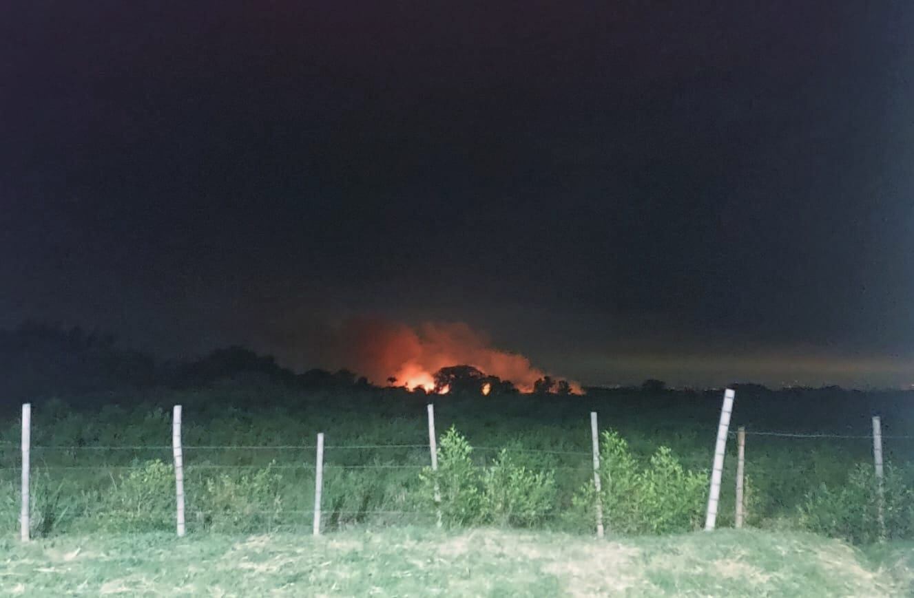 Son cerca de 18 las hectáreas de sembrados afectadas hasta el momento. Crédito: Suministrada.