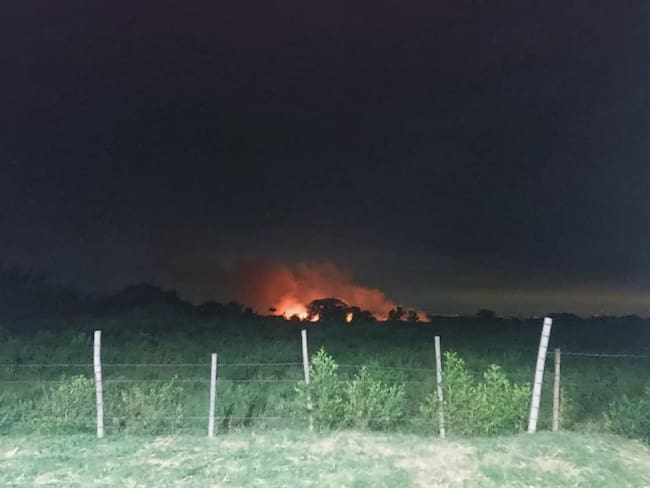 Son cerca de 18 las hectáreas de sembrados afectadas hasta el momento. Crédito: Suministrada.