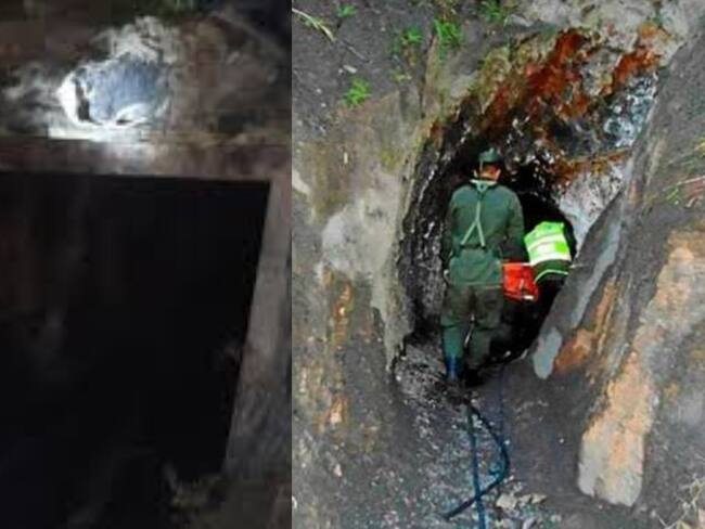 Fotos: suministradas.