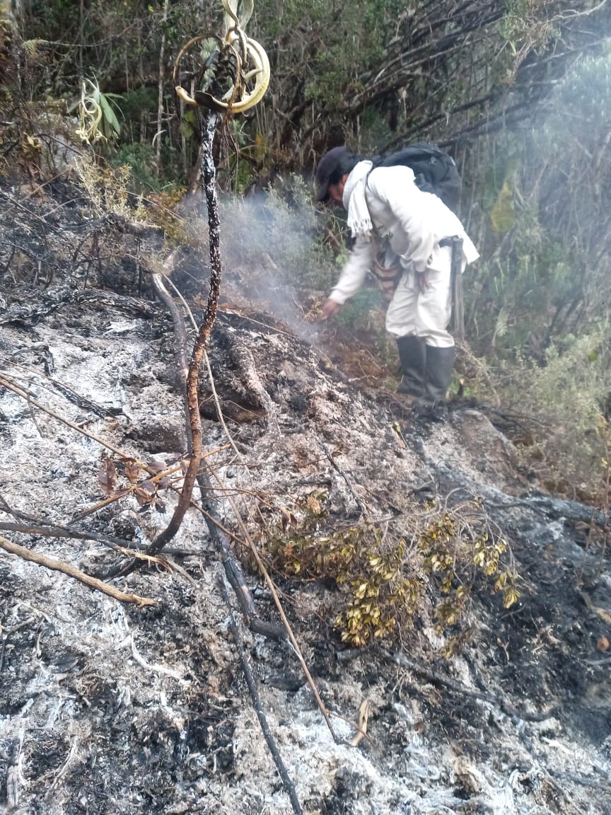 Así está el panorama en la parte Alta de la Sierra Nevada de Santa Marta/ Andrés Dingula