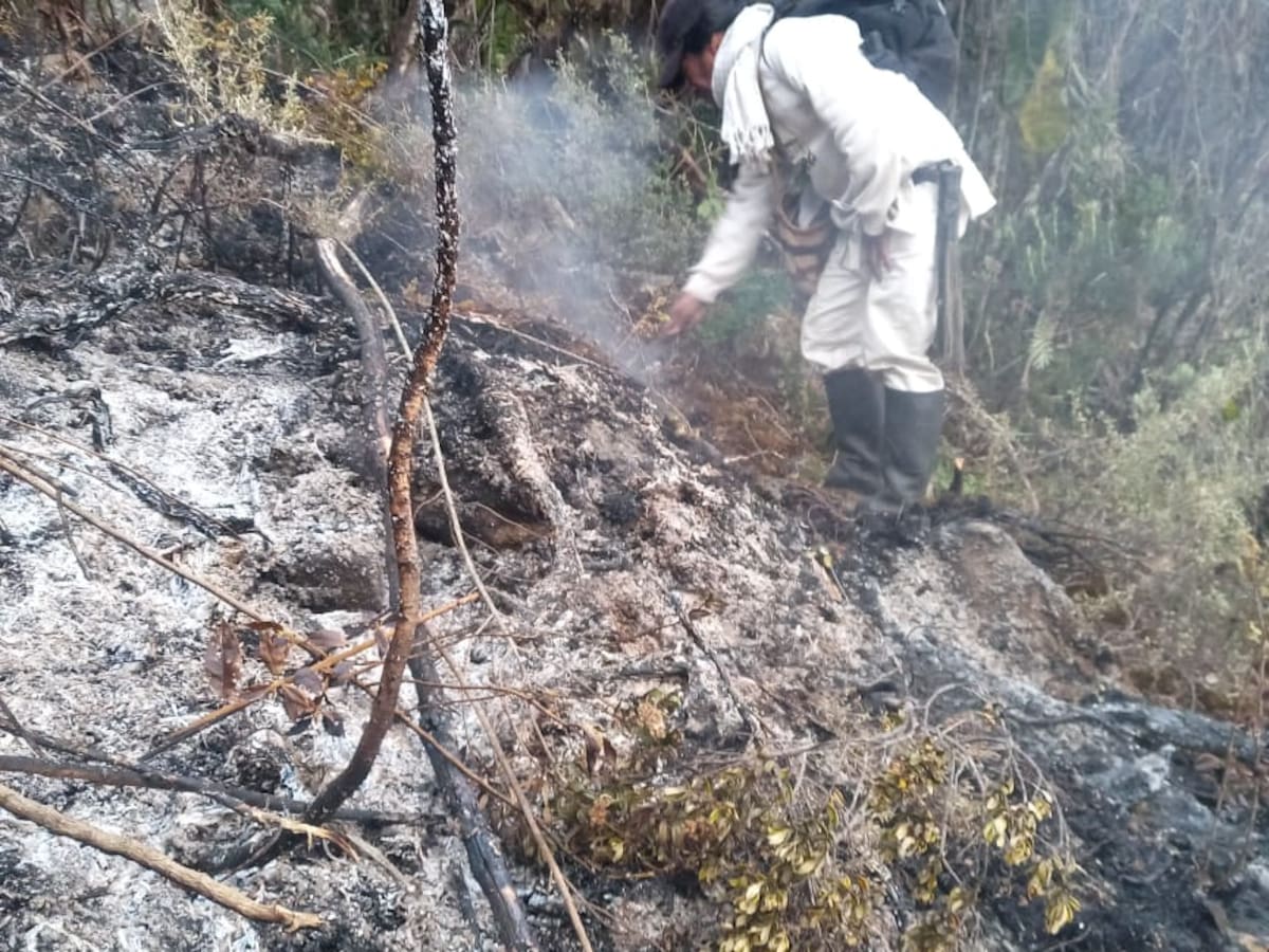 Indígenas Koguis intentan apagar otros tres focos de incendio en la Sierra Nevada